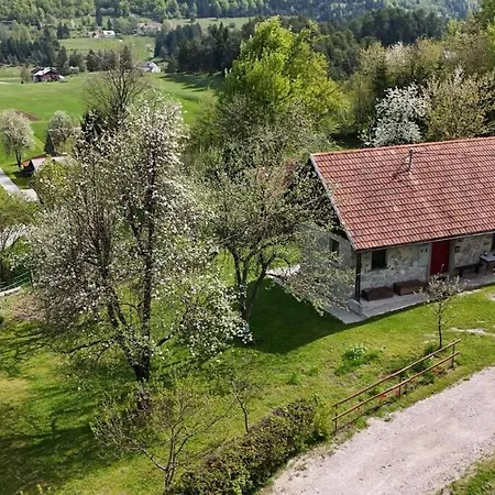 Apartment Olga