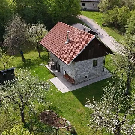 Apartment Olga Babno Polje
